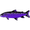Forellila