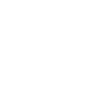Détecteur de métaux disant