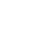 Snake (Chinese ZODIAC SIGN