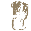 Mosambik - Mozambique