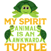 Turtle Lovers Turtle Pet