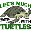 Turtle Lovers Turtle Pet