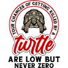 Turtle Lovers Turtle Pet