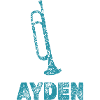 Gift for Ayden