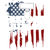 Veterans Before Illegals - Veteran