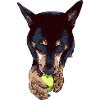 Good dog playing ball