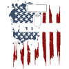 U.S. Veteran - Veteran