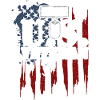 Retired U.S. Veteran - Veteran