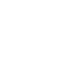 Logo Crane Mono Blanc