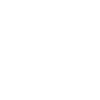 1977 Limited Edition