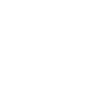 1980 Édition limitée