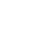 1976 Limited Edition