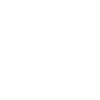 Édition limitée 1999
