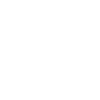1981 Édition limitée
