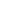 Limited Edition 2000