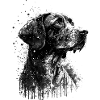 Hunting dog