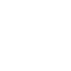 1989 Édition limitée