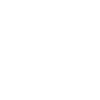 1993 Limited Edition