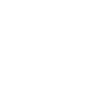 1995 Édition limitée