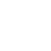 1994 Limited Edition