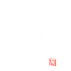 Hibiscus White