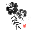 hibiscus 02