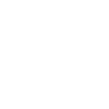 1990 Édition limitée