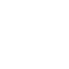 1991 Limited Edition