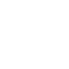 1992 Limited Edition