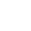 1996 Édition limitée