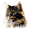 Le Chat