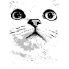 Cat with funny eyes