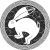 Hare