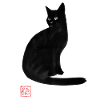 black cat