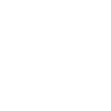 Limited Edition 2011