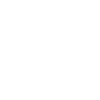 Limited Edition 2021