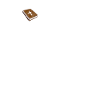 Bible