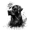 Labrador Dog Head
