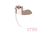 Loutre de café