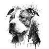Pitbull