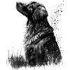 Retriever