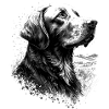 Retriever