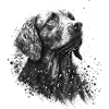 Retriever