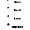 Coquelicot pureté amour succes