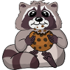 Raccoon nibbles on a cookie