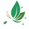 Nature Papillon