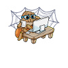 Webdesign Spider Programmation Programmeur IT