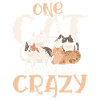 Chat brièvement fou