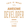 Developer