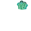 Spinach